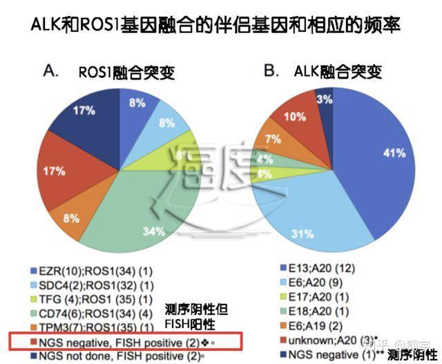 英雄联盟盘口突变，业内人士深度分析