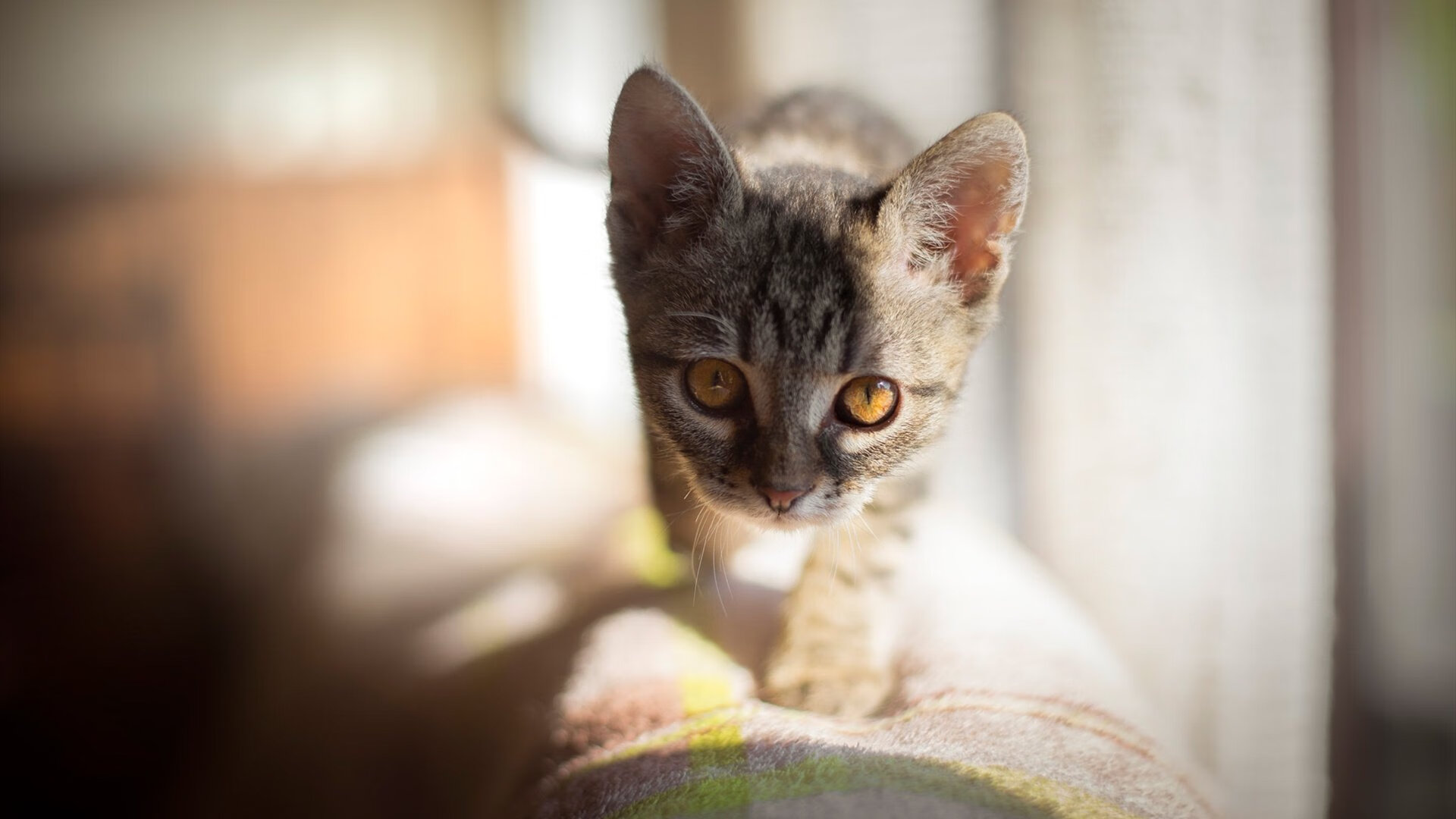 超时空德比，安菲尔德烽火与巴林赛道上的红色闪电