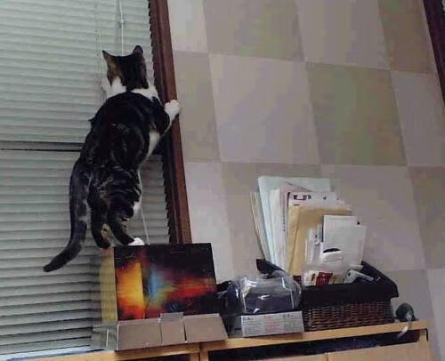 战术罗盘与民族心跳，当曼城遇见波斯，谁的节奏定义足球？