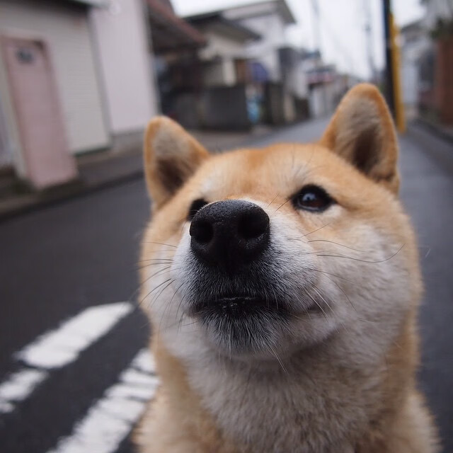 唯一性思考,当贾凯塔诺·贾凯里尼在2026世界杯淘汰赛上演人生唯一一次帽子戏法—记尤文击败挪威的幕后神迹