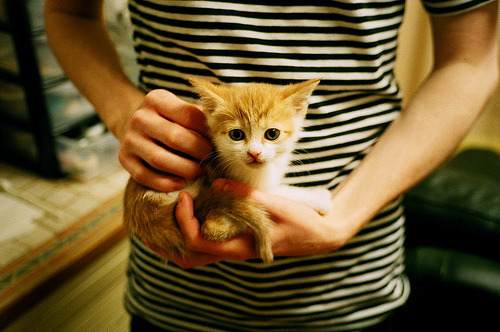 封神之夜无杂音,阿什拉夫在引擎咆哮中刻下无争议的王座