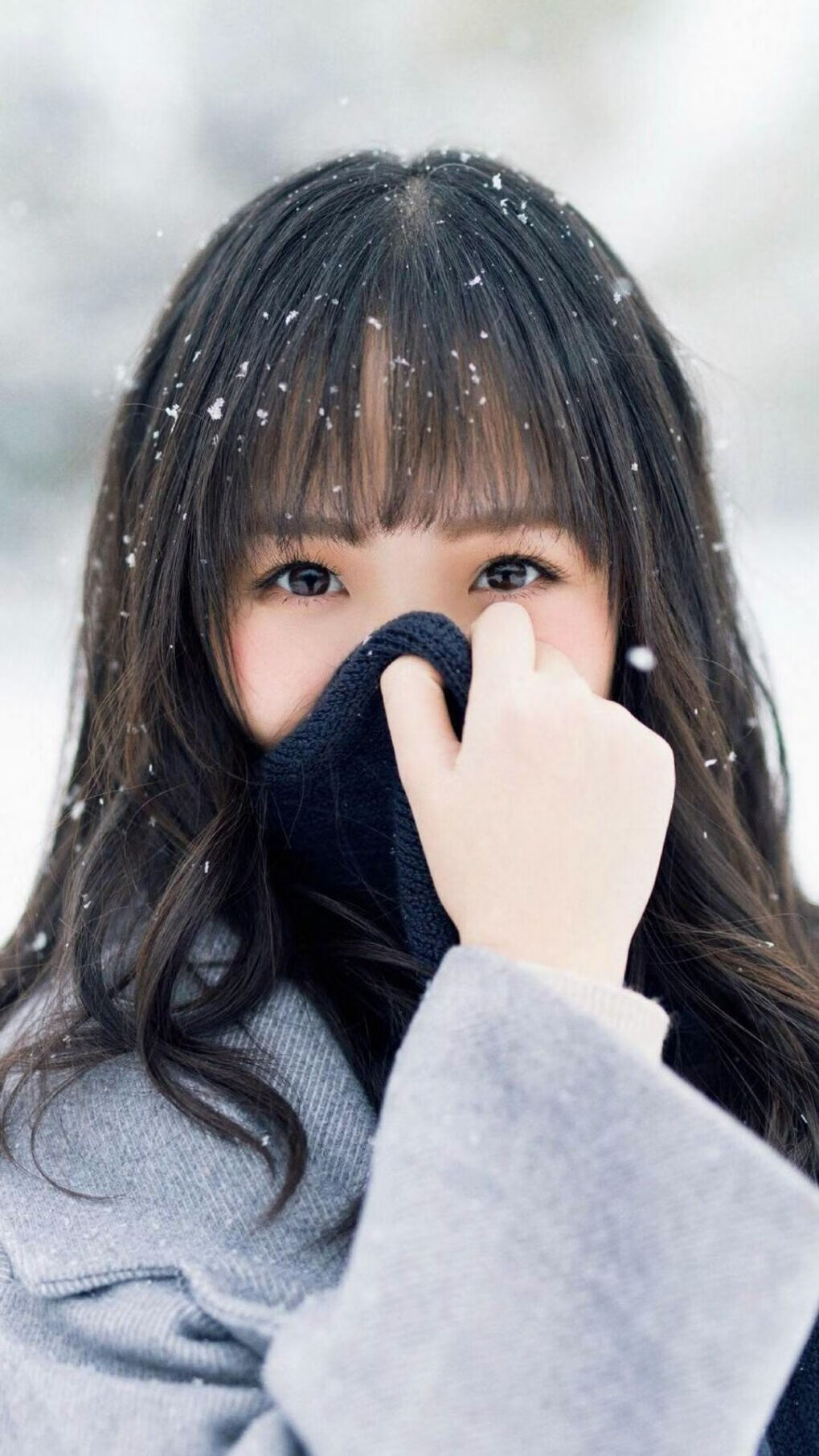 篮球世界的奇妙共振,当哈利伯顿的魔法照亮深圳队晋级之路,快船的阴影作何感想?