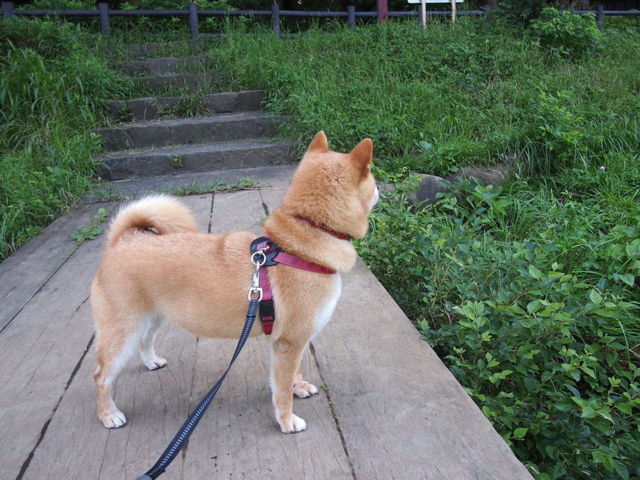 冰与火之歌,总决赛夜,加维在压力下绽放的唯一光芒