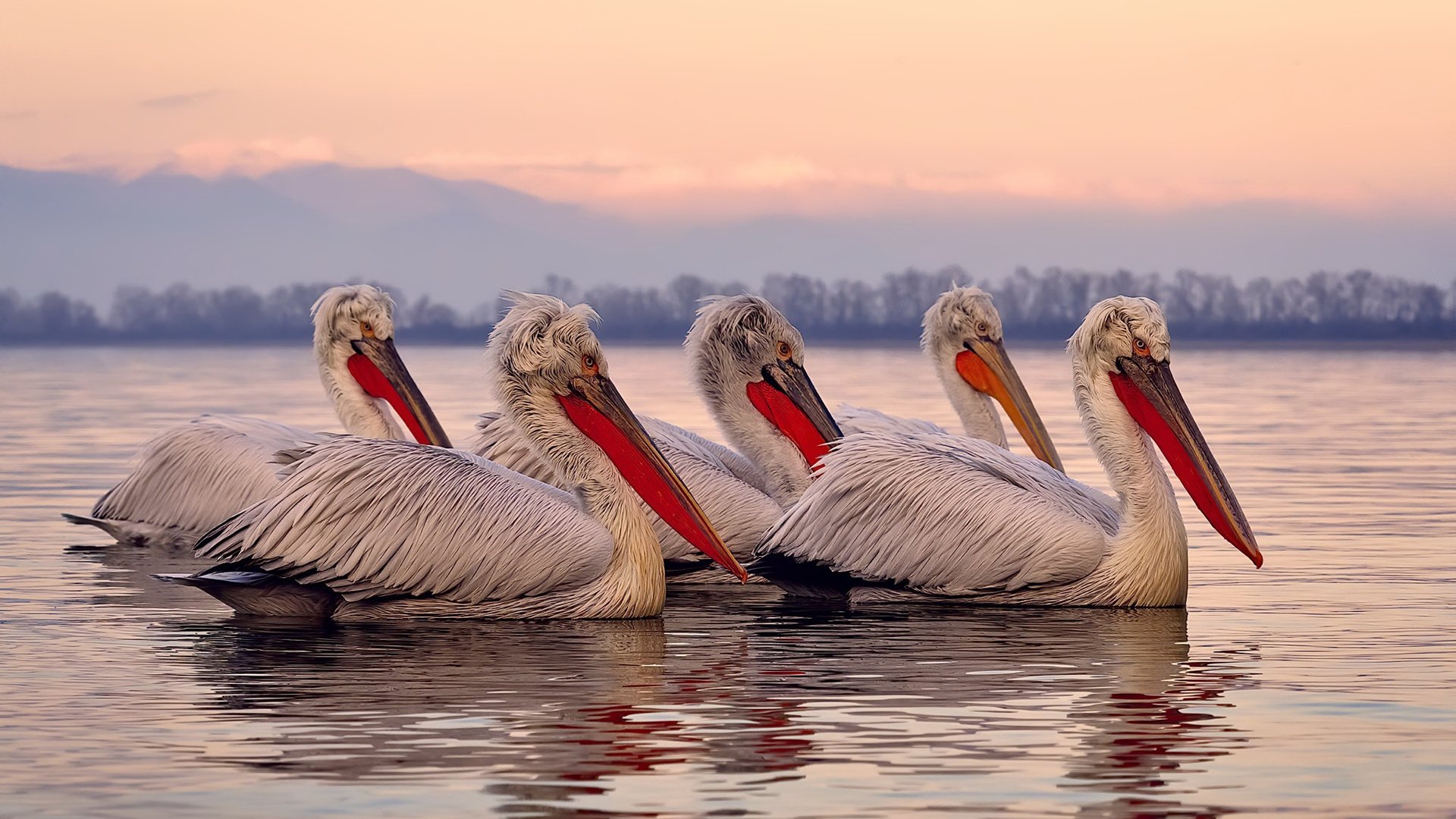 终极弯道，当绿茵魔法照亮F1争冠暗夜