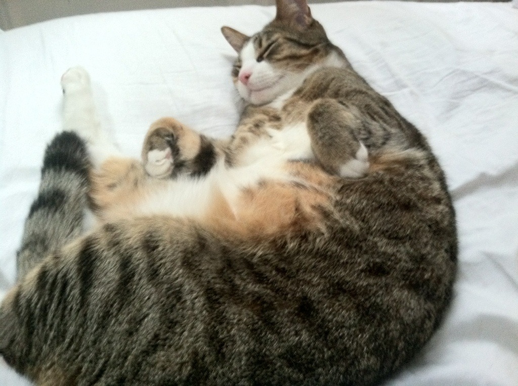 里程碑夜里的铁网，保罗荣光与费城窒息防守的交响