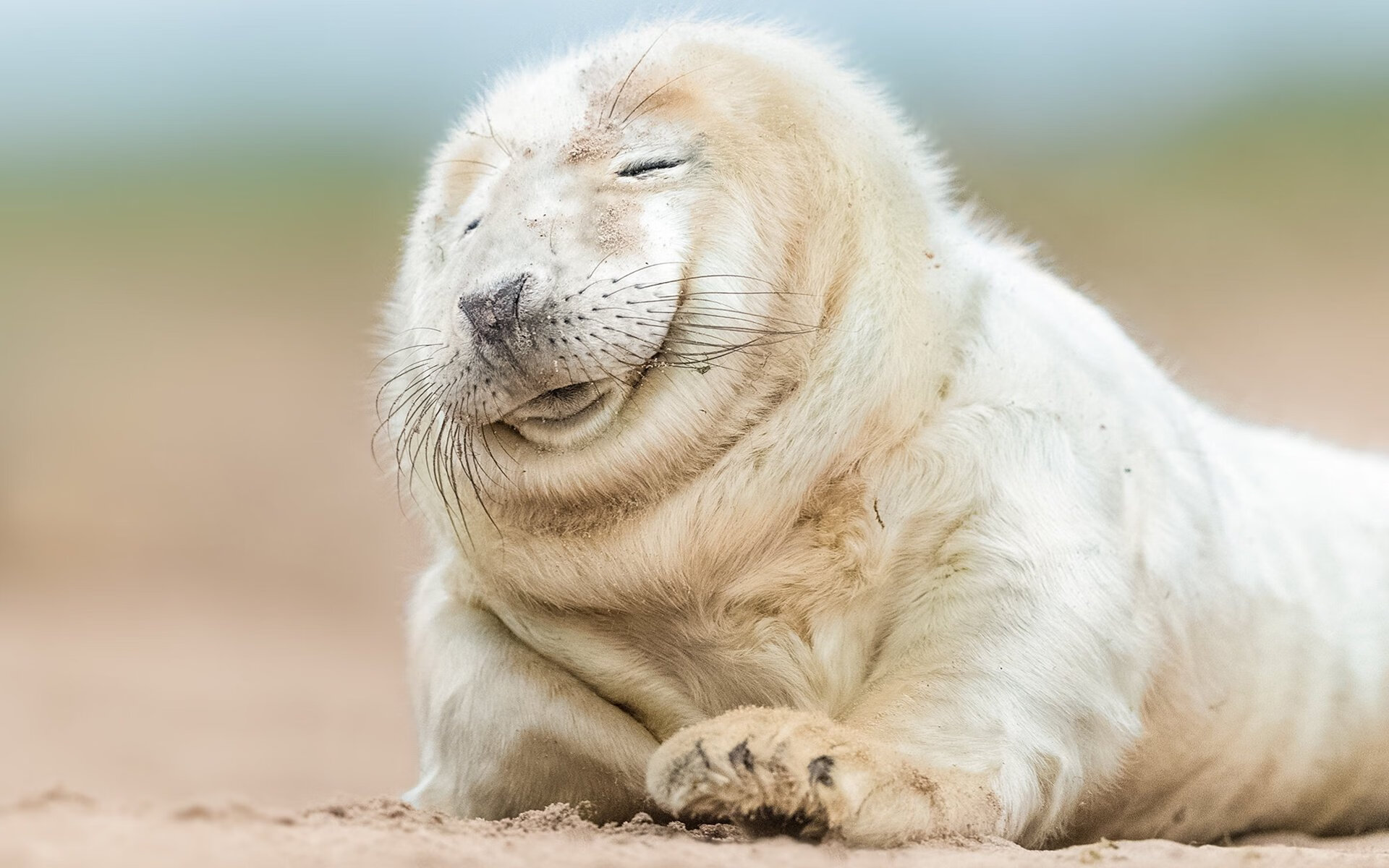 法比尼奥核心闪耀,土耳其战术铁幕完封牙买加