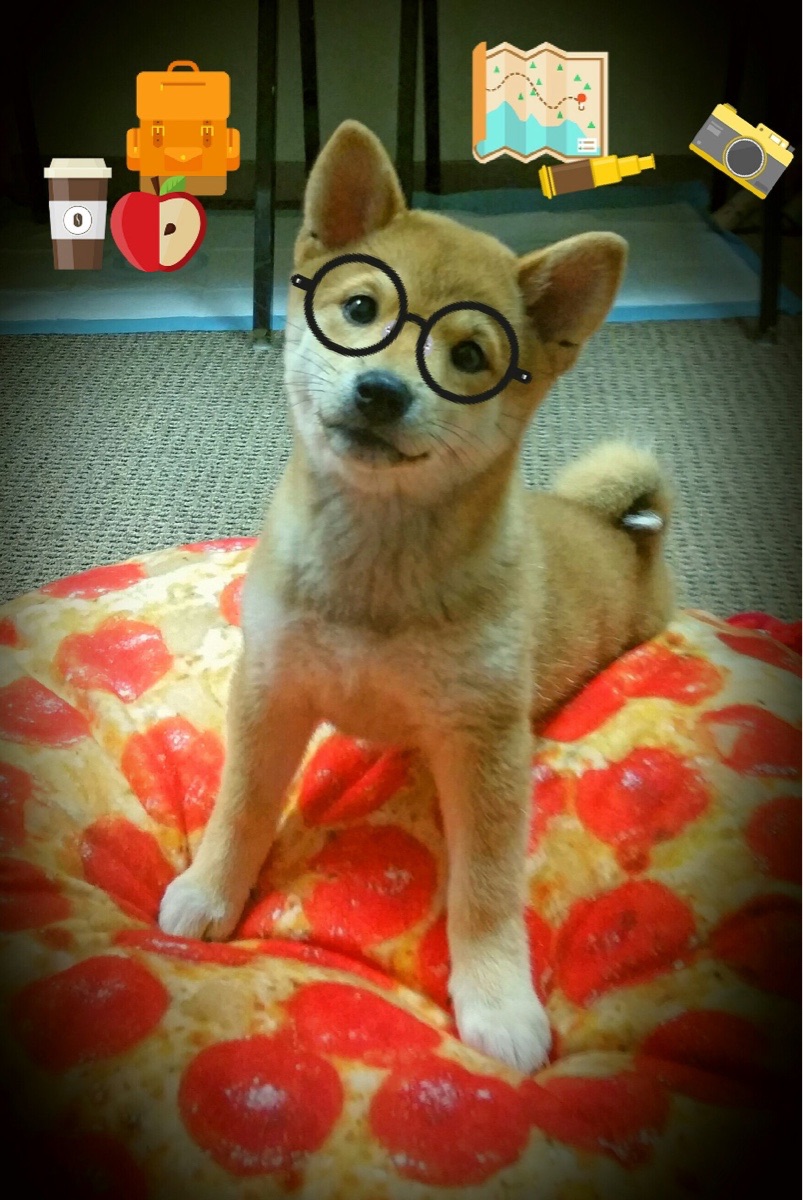 寂静核爆，当数据爆炸在年度焦点之夜化为战略级威慑