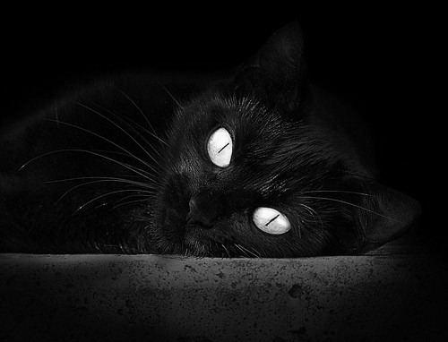 杜兰特隔空对望，广东铁骑冲垮天山