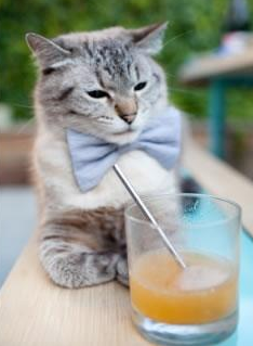 决胜时刻，安哥拉绝杀秘鲁，李刚仁西甲德比封神