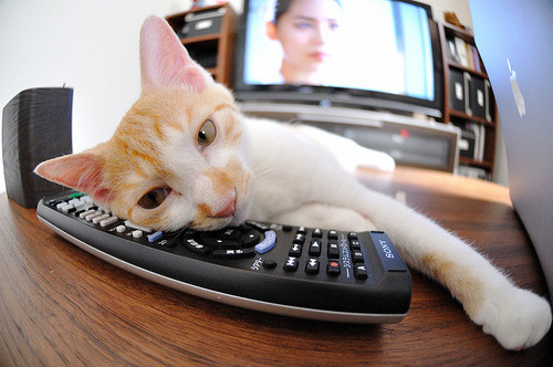 破冰!猛龙正面击溃灰熊,死神回眸惊艳四座