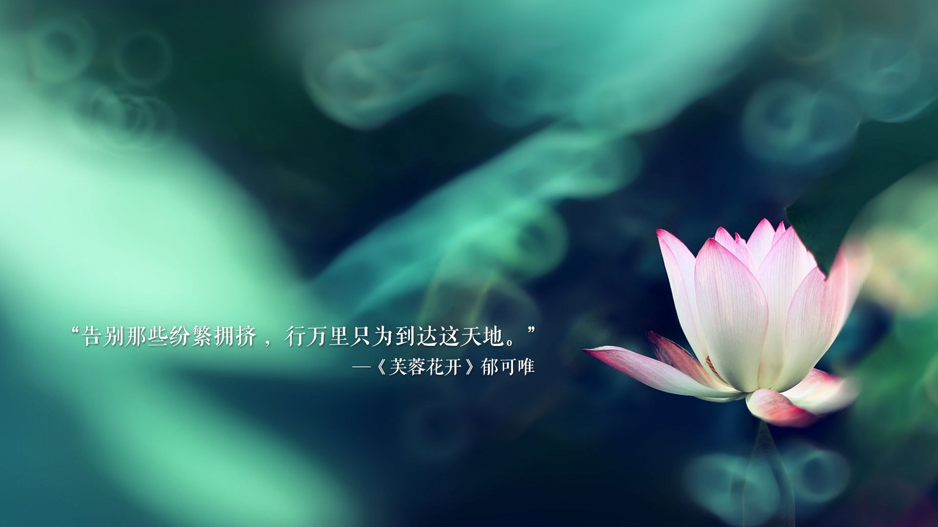 潘帕斯雄鹰涅槃，阿诺德铁血令下，2026世界杯出线战逆转澳大利亚，暴风节奏中锁定乾坤
