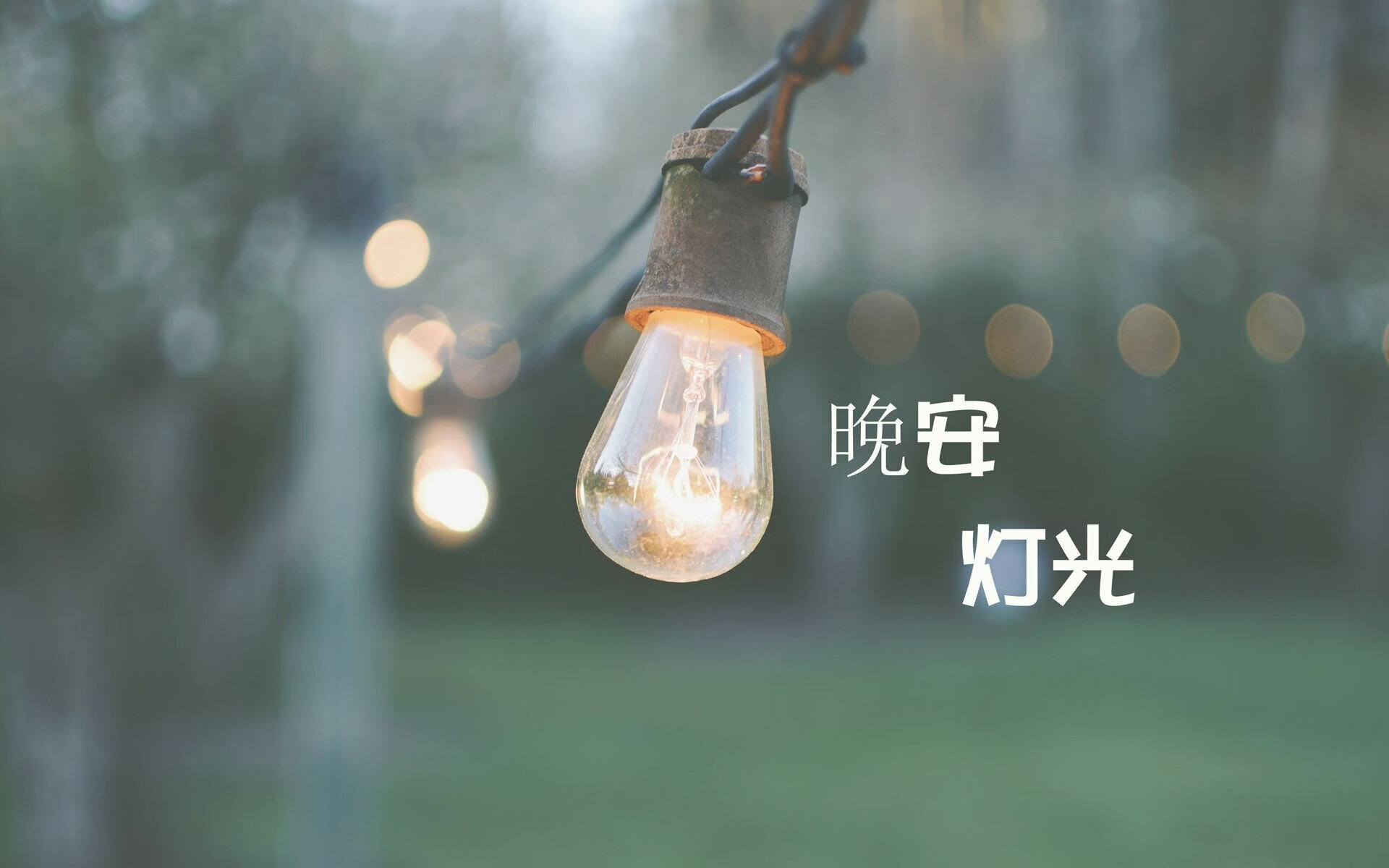 百年之耻与世纪加冕,2026F组那场被红色海啸与B费密码彻底改写的唯一剧本