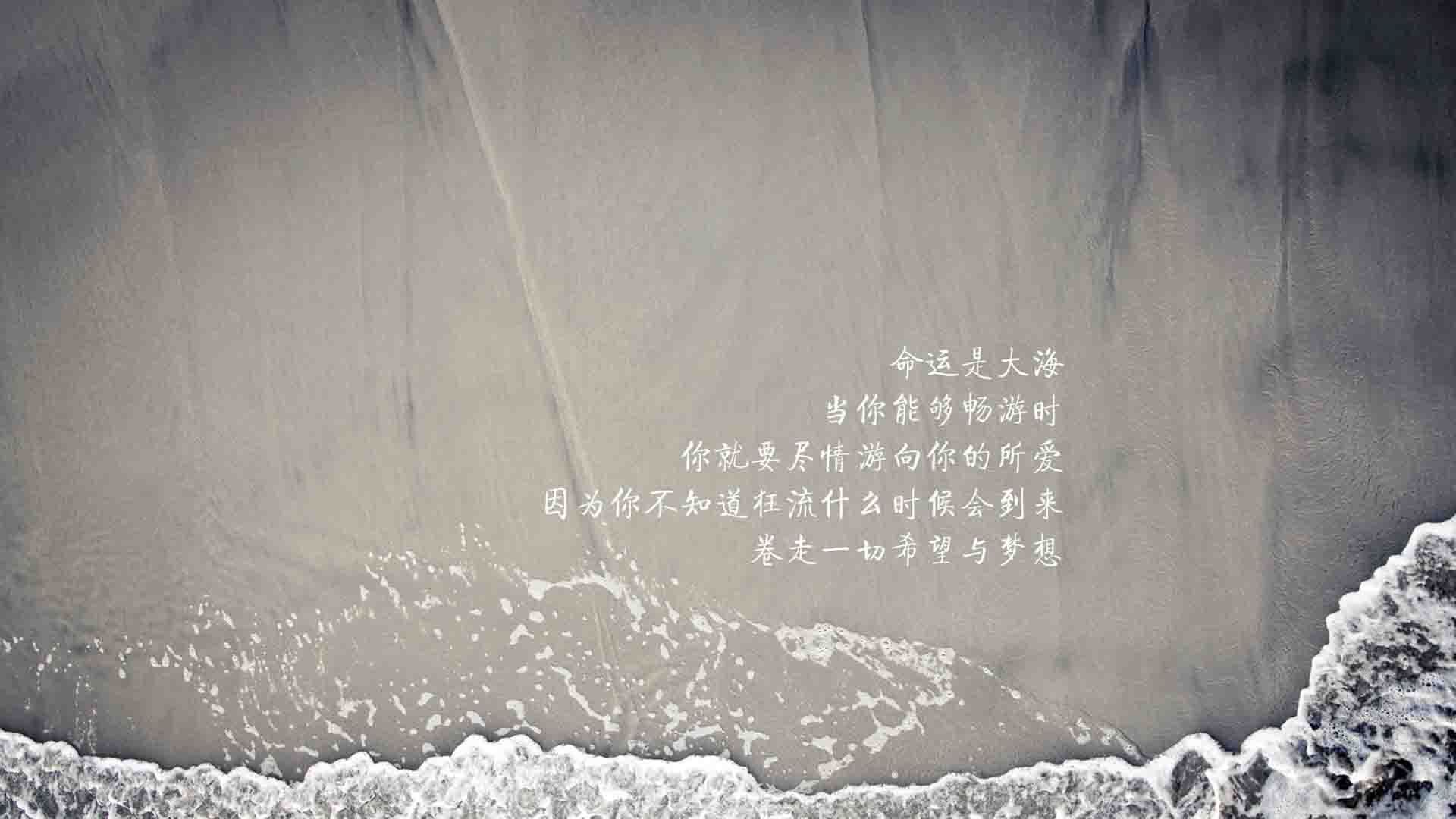 唯一的神话，哈兰德在2026世界杯A组的绝杀，塞尔维亚智利之战改写历史