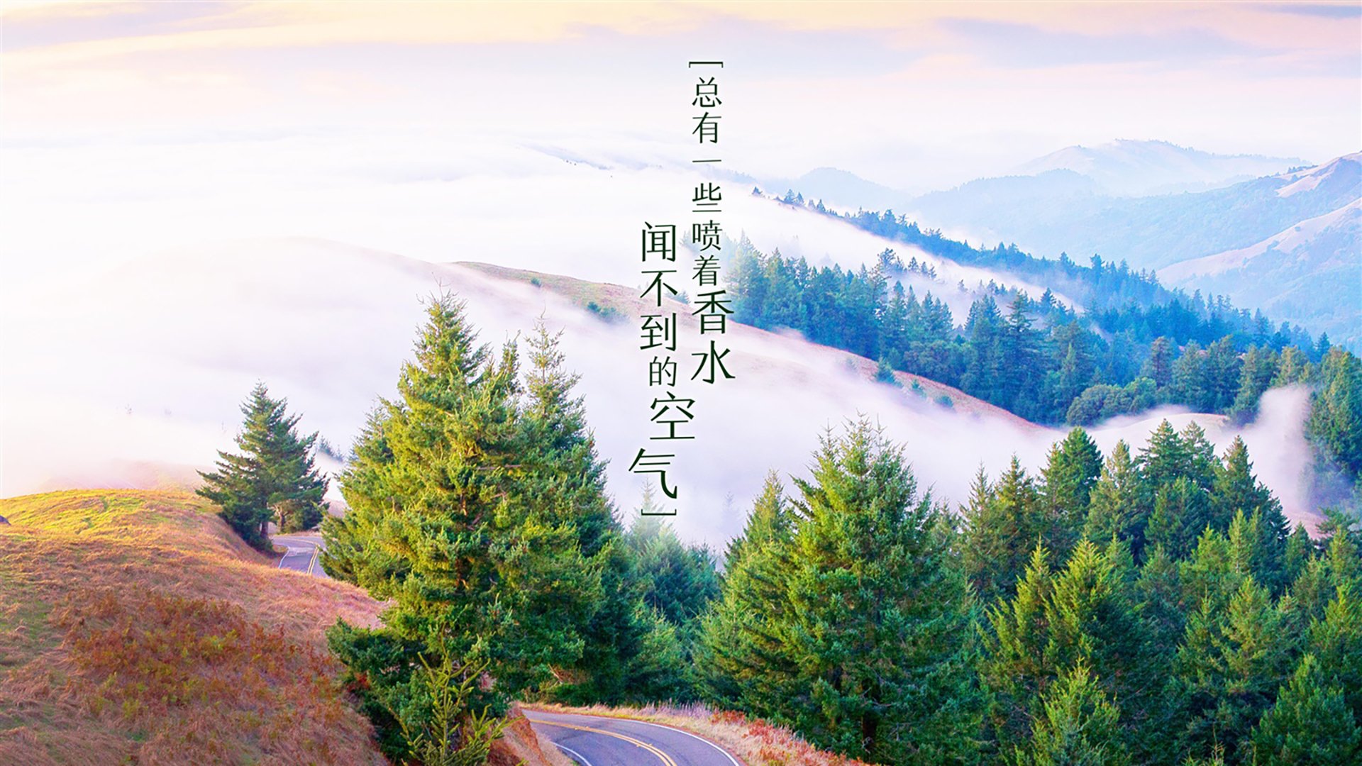 高卢雄鸡的绝命回响，格列兹曼的金球时刻，如何将荷兰的钢铁防线撕成逆转史诗
